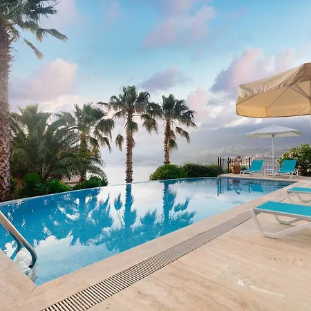Villa Palm *