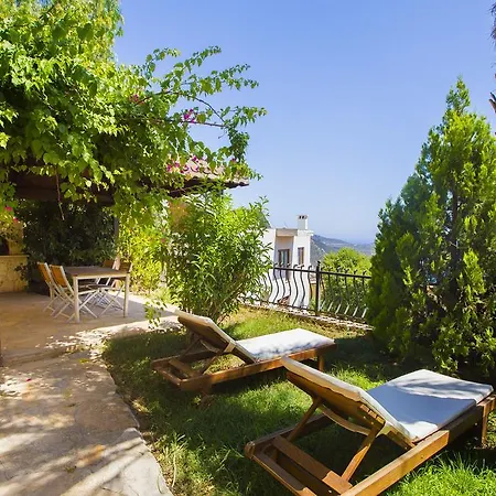 Palm Καλκάν
